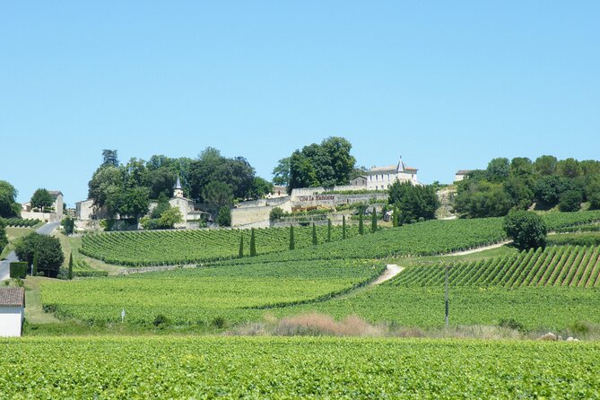 Saint Emilion Wine Tour Tasting Half Day from Bordeaux - What the tastings are really worth
