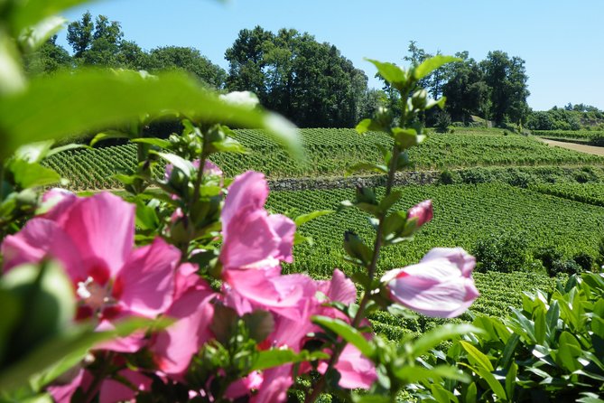 Saint Emilion Wine Tour Tasting Half Day from Bordeaux - The small-group question