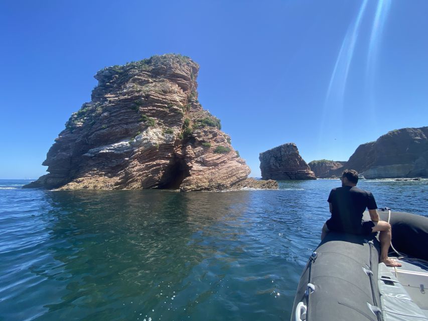 Saint-Jean-de-Luz, Basque country: Boat tour along the Coast - Who will enjoy this boat ride most?