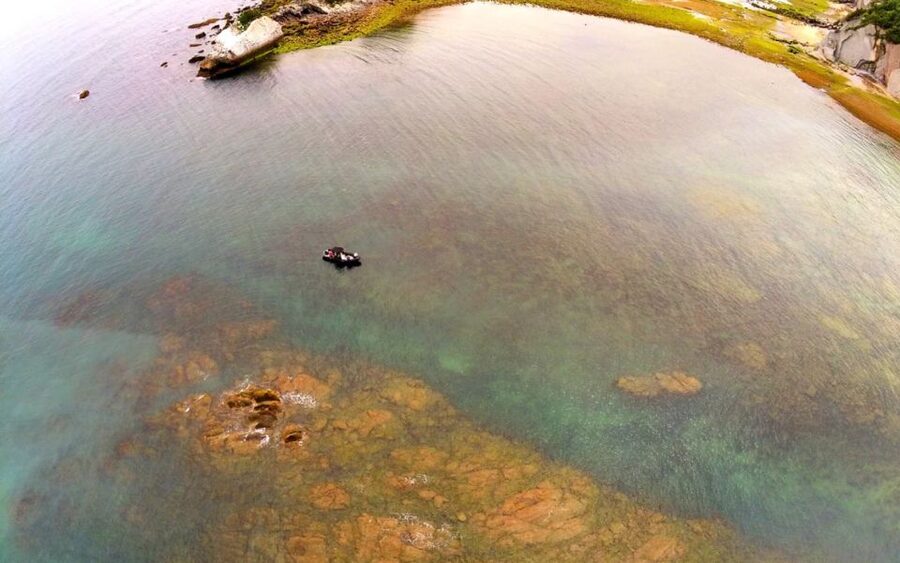 Saint-Jean-de-Luz, Basque country: Boat tour along the Coast - Loya Bay and the Abbadia view