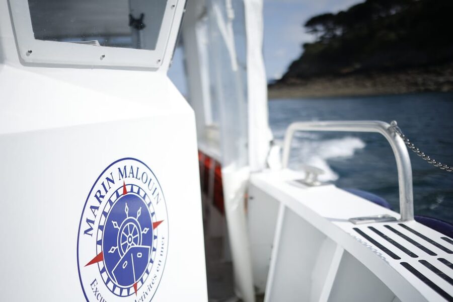 Saint-Malo: Guided Boat Tour with Local Captain - What the guide adds to the ride