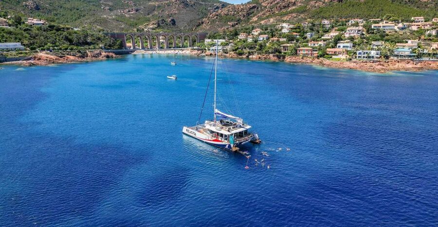 Saint Raphaël: Guided cruise, discover a beautiful coastline - Returning to Saint-Raphaël by Catamaran