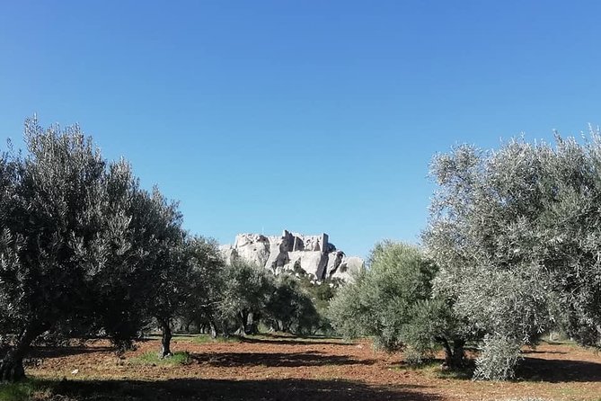Saint Remy, Les Baux and Pont du Gard Small Group Half-Day Trip - Timing, crowds, and the cost of a compact route