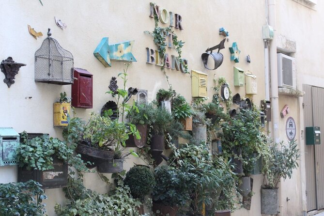 Saint Remy, Les Baux and Pont du Gard Small Group Half-Day Trip - Who should book this Provence outing?