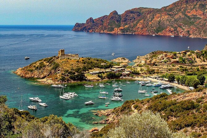 Scandola & Girolata: The Must-see Excursion EN Corsica - The final swim and the ride back