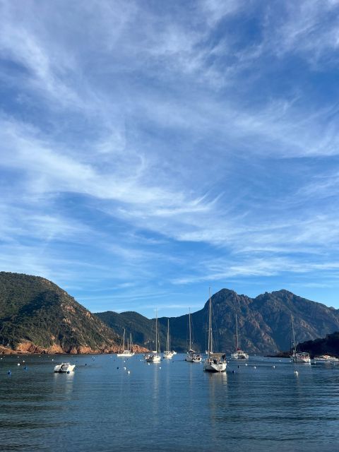 Scandola, Piana & Girolata - Is $141 a fair price?