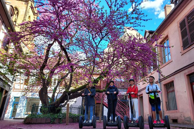 Segway Tours 2h in Colmar - Beyond the old walls and into newer Colmar