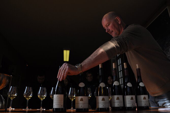 Small group Burgundy tour of Beaune with Wine Tasting from Dijon - The wine tasting: quality wines, but set your expectations