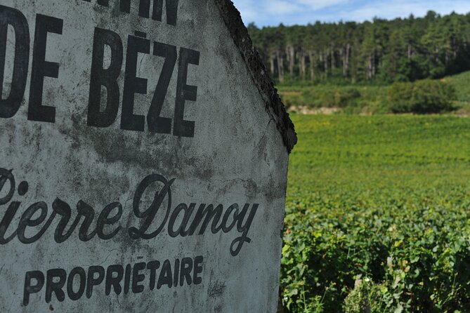 Small group Burgundy tour of Beaune with Wine Tasting from Dijon - Beaune in about one hour