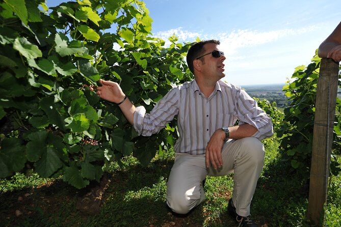 Small group Burgundy tour of Beaune with Wine Tasting from Dijon - Should you book the small-group Burgundy tour?