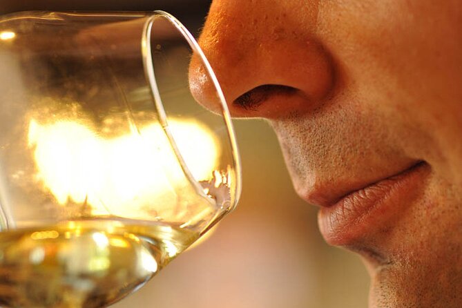 Small-Group Full-Day Tour of Côte de Nuits, Côte de Beaune Vineyards and Beaune Historical District - Beaune gives you two hours to eat and wander