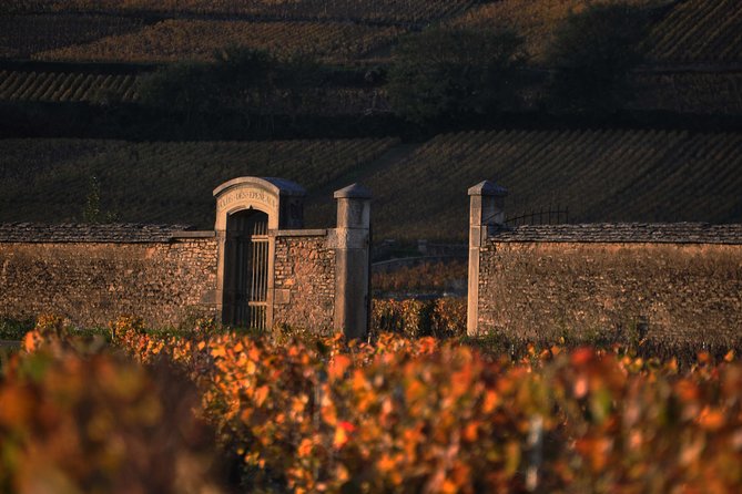 Small-Group Full-Day Tour of Côte de Nuits, Côte de Beaune Vineyards and Beaune Historical District - What the guide adds to the day