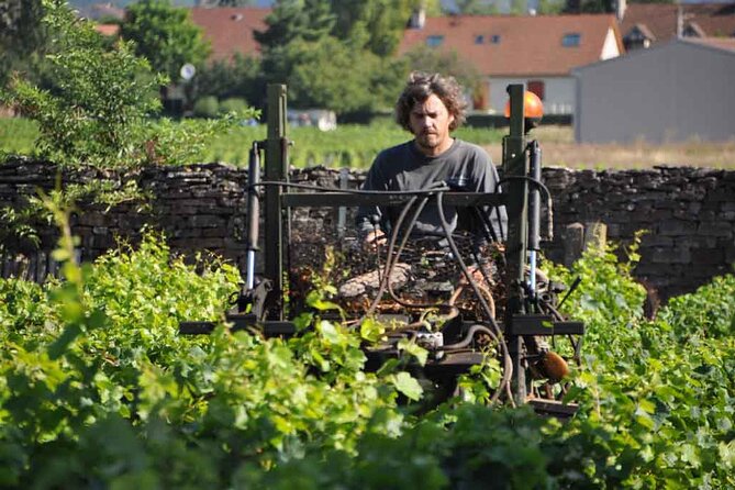 Small-Group Full-Day Tour of Côte de Nuits, Côte de Beaune Vineyards and Beaune Historical District - Who should book this tour?