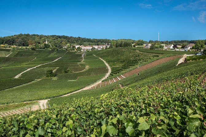 Small Group - Half Day Champagne Tour - Visit of 2 Small Producers/Growers - Key points before you book