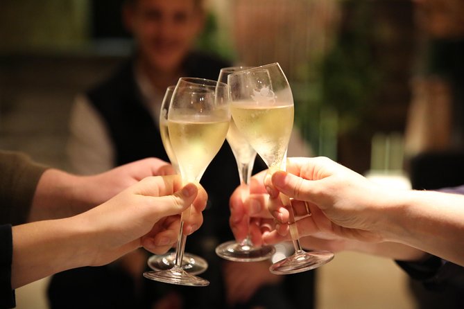 Small Group - Half Day Champagne Tour - Visit of 2 Small Producers/Growers - Why small Champagne producers matter