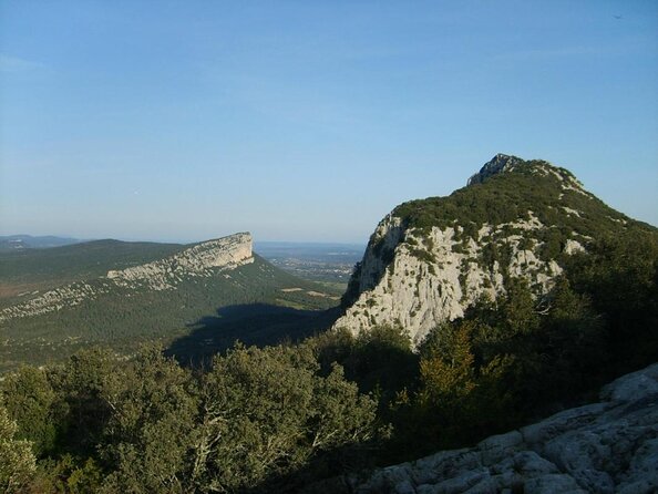 Small-Group Half-Day Languedoc Pic Saint-Loup Wine Tour from Montpellier - Key points to know before you book