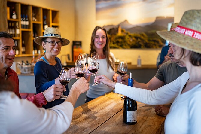 Small-Group Half-Day Languedoc Pic Saint-Loup Wine Tour from Montpellier - What the $107.40 price really covers
