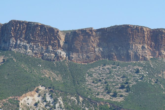 Small Group Marseille Shore Excursion: Marseille and Cassis Tour - Should you take the calanques boat trip?