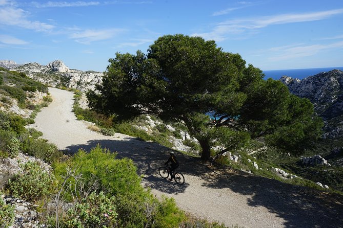 Sormiou Calanques National Park Electric Bike Tour from Marseille - Is $59.13 good value?