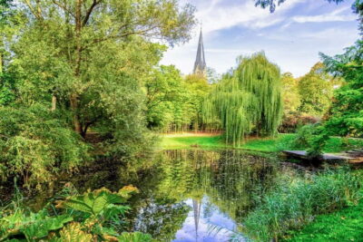 Strasbourg: 1.5-Hour Guided Segway Tour