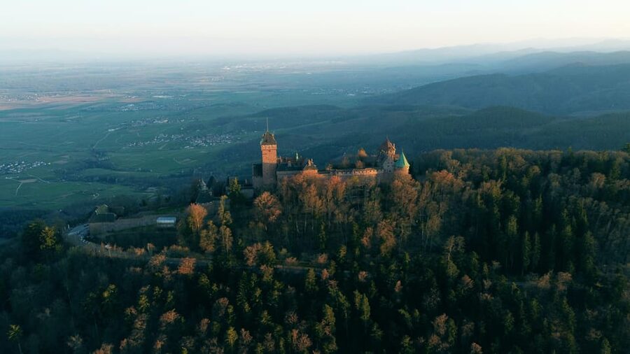 Strasbourg: Full-Day Small Group Tour to Colmar & Riquewihr - Small groups, vehicles, and comfort