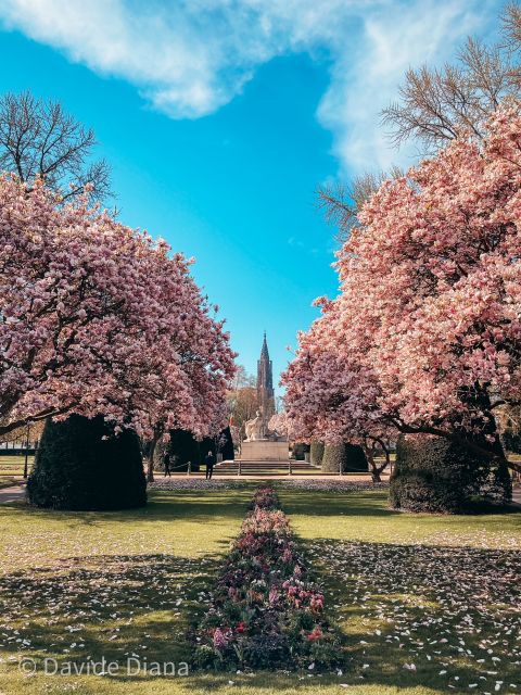 Strasbourg: Guided Historical Neighborhoods Walking Tour - Meeting at Place de la République