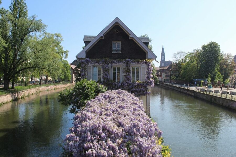 Strasbourg: Walking Tour with Local Guide - Key points about this Strasbourg walking tour