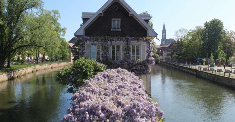 Strasbourg: Walking Tour with Local Guide - Starting near Place d’Austerlitz and the covered bridges