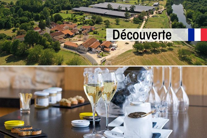 Sturgeon Fish-Farm Visit and Caviar Discovery Tasting in Neuvic - Why Neuvic Caviar Makes a Good Dordogne Stop