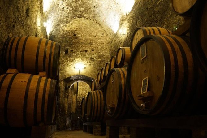 Tasting Tour in One of The Most Beautiful Cellars in the World - Walking Through the Barrel Rooms