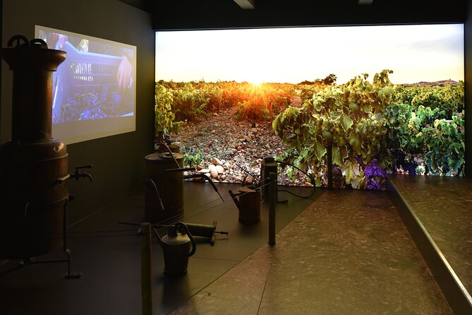 The discovery trail at Maison Brotte - Mobile tickets, cancellation, and planning details