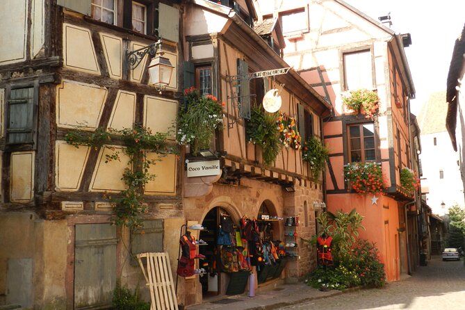 The Emblematic: visit of villages, Haut-Koenigsbourg, Wine tasting - A family winery and Alsace wine tasting