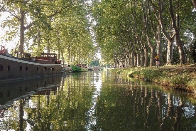 The essential of Toulouse by bike - Crossing Pont Neuf toward the river park