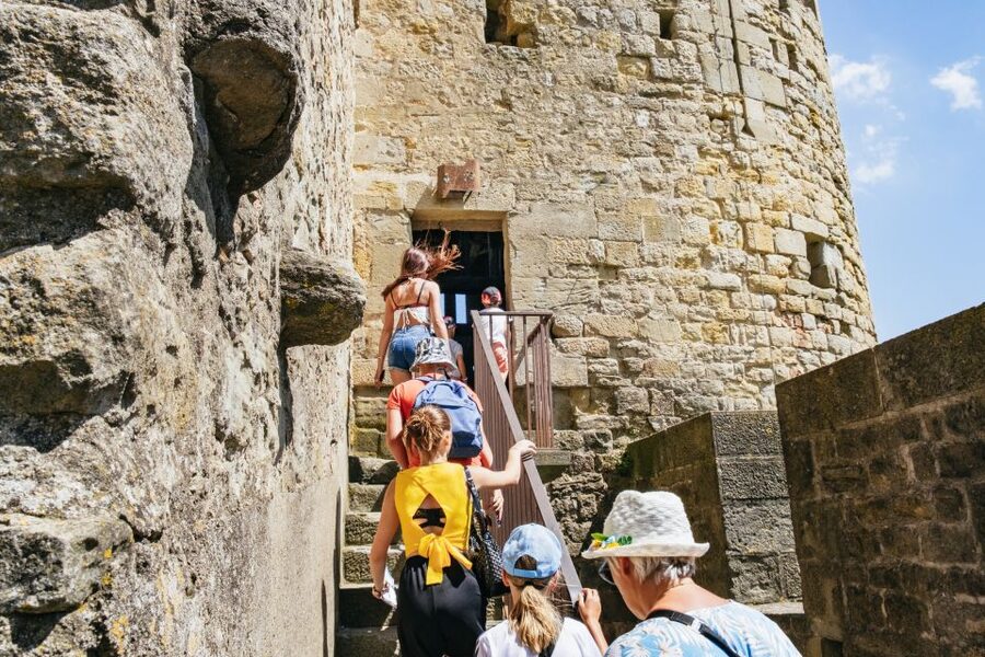 Toulouse: Carcassonne Day Trip by Coach with Audioguide - Who should book this coach trip?