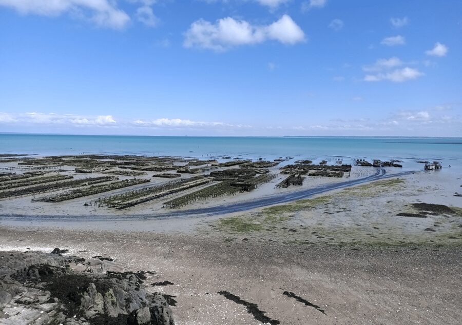 Tour from Rennes : Mont Saint-Michel & Cancale & Saint-Malo - Is $85 a fair price?