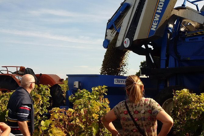 Tour of a Vineyard, Winery & Cellar with Wine Tasting in Vouvray, Loire Valley - Getting to Chançay from Tours or Amboise