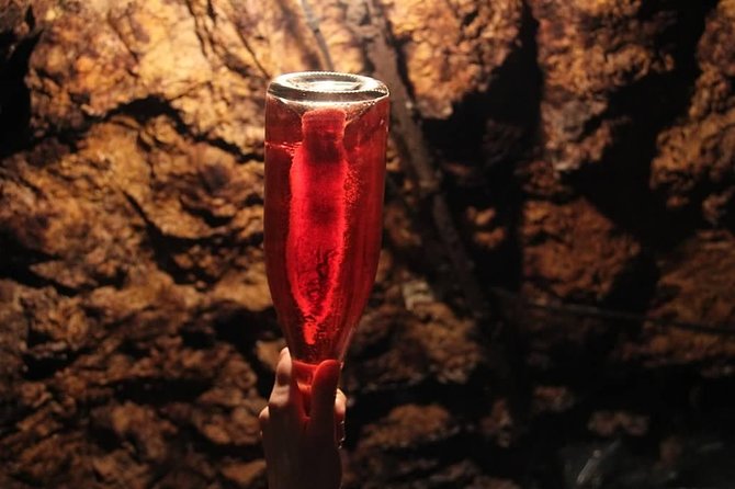 Tour of a Vineyard, Winery & Cellar with Wine Tasting in Vouvray, Loire Valley - Is $65.17 a fair price?