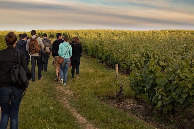 Tour of a Vineyard, Winery & Cellar with Wine Tasting in Vouvray, Loire Valley - Who will enjoy this tour most