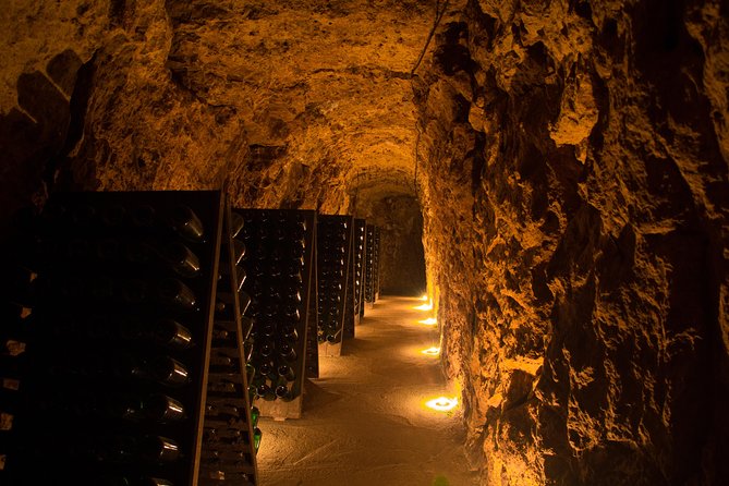 Tour of a Vineyard, Winery & Cellar with Wine Tasting in Vouvray, Loire Valley - Walking through the Vouvray vines