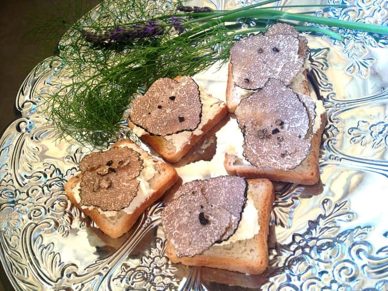 Truffle Hunting in Provence - Getting Good Value From the Visit
