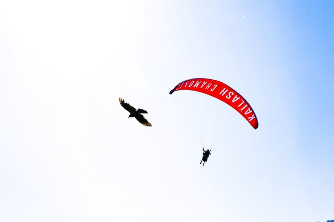 Two-seater paragliding flight in Chamonix - Timing, weather, and the practical details