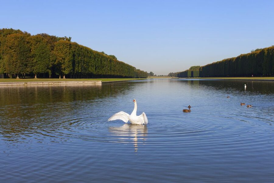 Versailles: Skip-the-Line Guided Tour of Palace with Gardens - The gardens after the guided tour