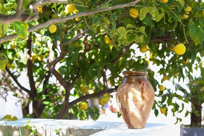 Viator Exclusive: Local Cooking Class & Dinner with View of Nice - Who will enjoy this cooking class