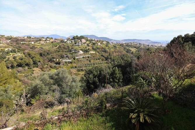 Viator Exclusive: Local Cooking Class & Dinner with View of Nice - Should you book it?