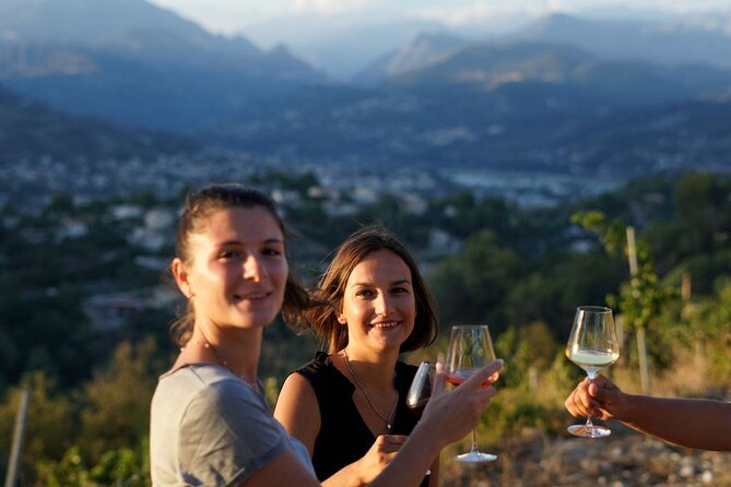 Vineyard Tour with Wine Tasting within Nice city borders - What You Actually See at Chateau de Bellet