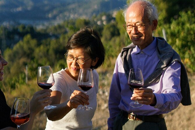 Vineyard Tour with Wine Tasting within Nice city borders - Getting There from Central Nice