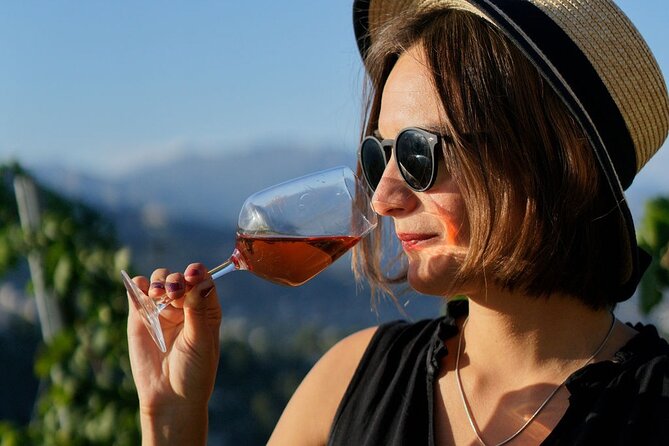 Vineyard Tour with Wine Tasting within Nice city borders - How Much Time and Money Should You Allow?