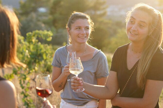 Vineyard Tour with Wine Tasting within Nice city borders - Who Should Book This Nice Wine Tour?