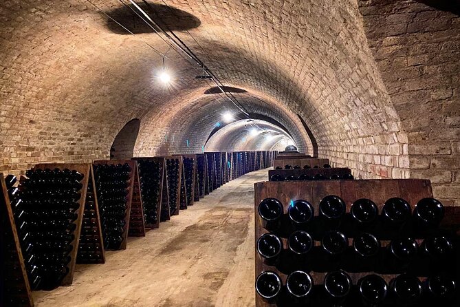 VIP Champagne Region Day Trip with 7 Tastings & Lunch from Paris - A two-course lunch with local Champagne