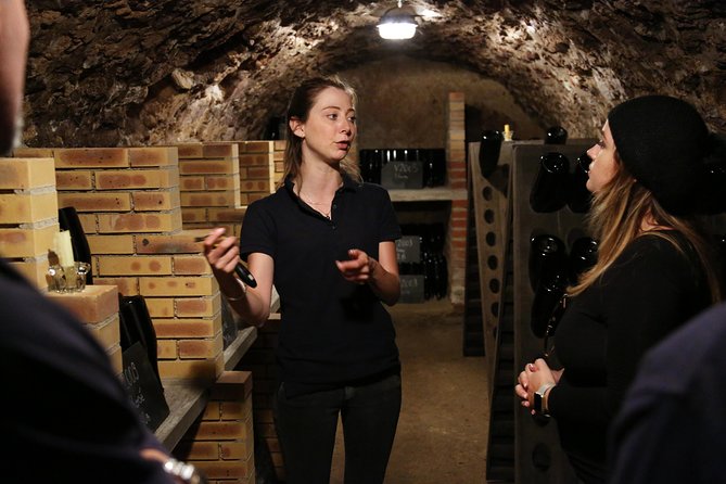 VIP Champagne Region Day Trip with 7 Tastings & Lunch from Paris - Champagne Harlin Père et Fils and the family touch